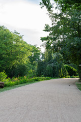 Walk on a warm sunny day in the park Volkspark Friedrichshain, cozy paths and green lawns