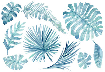 Set of pink and blue tropical leaves. Jungle, botanical watercolor illustrations, floral elements, palm leaves, fern and others. Hand drawn watercolor set of leaves and home plant