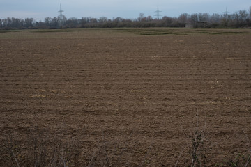Empty field in the Wagbachniederung in Waghäusel