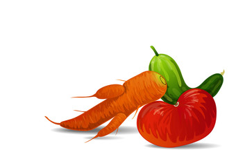 Vector illustration of fashionable ugly organic tomato, carrot and cucumber isolated on white background. Ugly food concept, ugly forms of organic vegetables. 