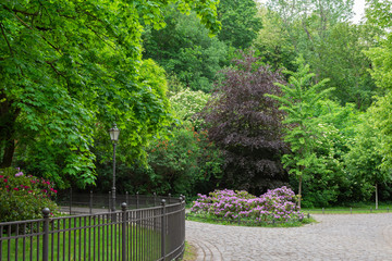 Walk on a warm sunny day in the park Volkspark Friedrichshain, cozy paths and green lawns, beautiful flowers
