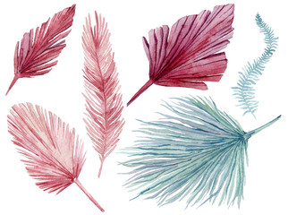 Set of pink and blue tropical leaves. Jungle, botanical watercolor illustrations, floral elements, palm leaves, fern and others. Hand drawn watercolor set of leaves and home plant
