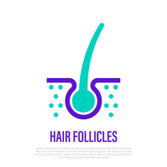 Hair follicle. Hair loss. Thin line icon. Vector illustration for medical clinic.