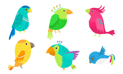Set of colorful tropical birds and parrots vector illustration