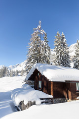 Fototapeta na wymiar Picturesque winter scene with traditional alpine chalet and snowy forest. Sunny frosty weather with clear blue sky. Vertical shot