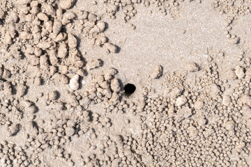Fototapeta na wymiar Crab's hole on the beach floor on wet sand
