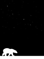 Polar bear on a night sky