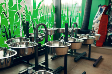 Dog bowls variety on showcase in pet store