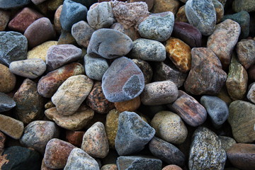 Multi-colored stones in the frost covered with hoarfrost