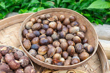 Organic healthy dryed nuts at balinese village.