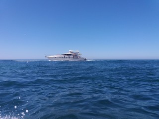 cruise ship in the sea