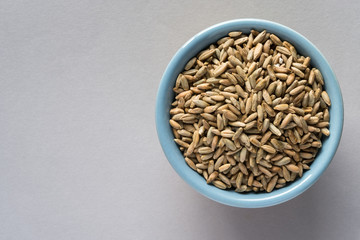 Rye Berries in a Bowl