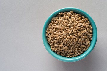 Wheat Berries in a Bowl