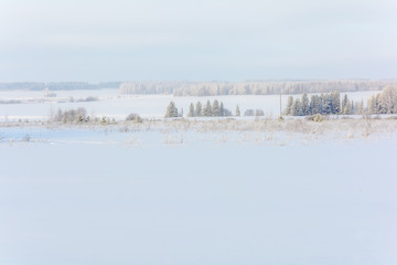 Beauty of nature in winter