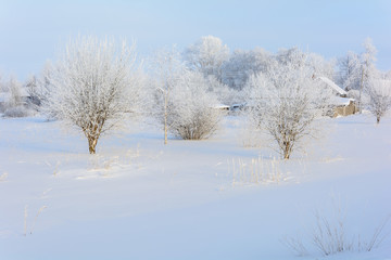 Beauty of nature in winter