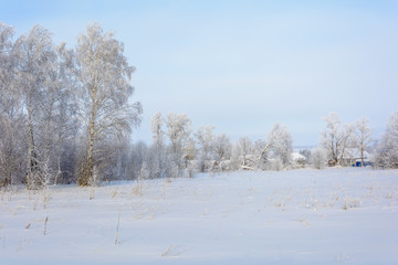 Beauty of nature in winter