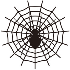Obraz premium Spider