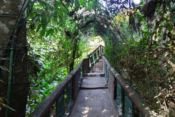 Obraz premium Der Weg