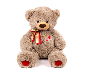 soft toy white background isolated brown bear