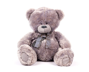 soft toy white background isolated gray bear