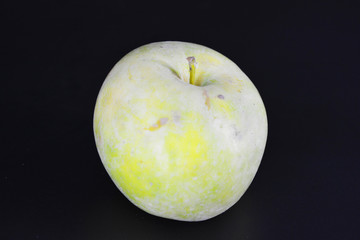 A large bright juicy green yellow apple, varieties Renet Simirenko is located on a black plastic background.