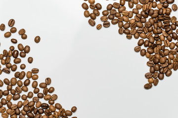  coffee grains on a white background