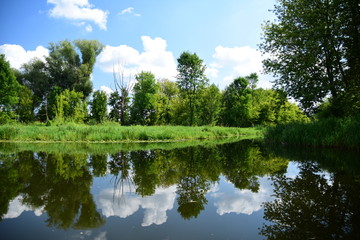 Fototapeta na wymiar Wycieczka brzegiem rzeki wśród zielonych drzew i krzewów w letni pogodny dzień.