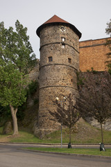 Fototapeta na wymiar Castle in Cheb. Czech Republic
