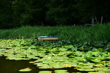 Łódka w rzecznych szuwarach w letni pogodny dzień.