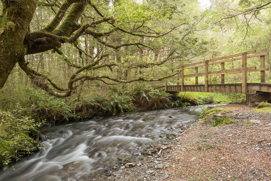 A Wooden Pedestrian Bridge Crossing A Small Stream On The Lake Daniell Track, Lewis Pass Scenic Reserve, West Coast, New Zealand.