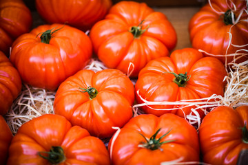 fresh tomatoes within the parisian market