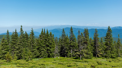 Naklejka premium Romania Mountain Scenery Paltinis