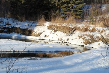 Open Creek, Whitemud Park, Edmonton, Alberta