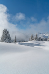Neuschnee in den Bergen