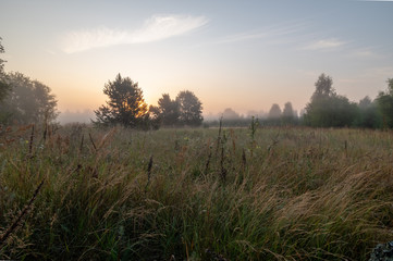 Obraz na płótnie Canvas Morning in the field. Dawn of the sun in the field. Morning fog.