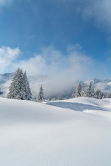 Verschneite Winterlandschaft