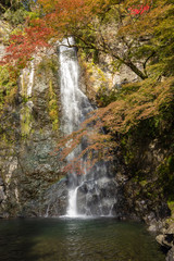 Fototapeta premium Fall colours in Minoo Forested Park and Waterfall, a spacious natural recreation area in suburban Osaka, Japan.