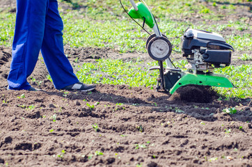 A man plows the land with a cultivator in a spring garden