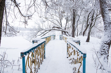 Bridge winter landscape Forest lake snow New Year's nature christmas cold xmas