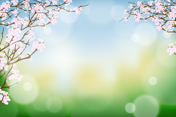 Naklejka na ściany i meble Branches of cherry spring flower blooming on burry bokeh background, Spring background with cherry blossom border and blurry light effect.Template banner for Easter or Spring