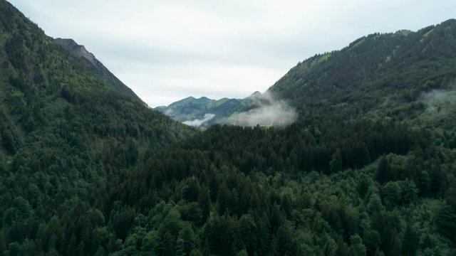 Scenic Aerial View of Mountains with Forest and Steam. Environment Background Footage of Natural Landscape in Alps, Germany. 4K Drone Pull in Zoom Panoramic Shot