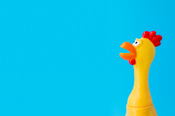 Squeaky chicken toy on blue background. Rubber toy chicken on blue background