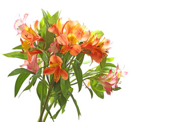 アルストロメリアの花束