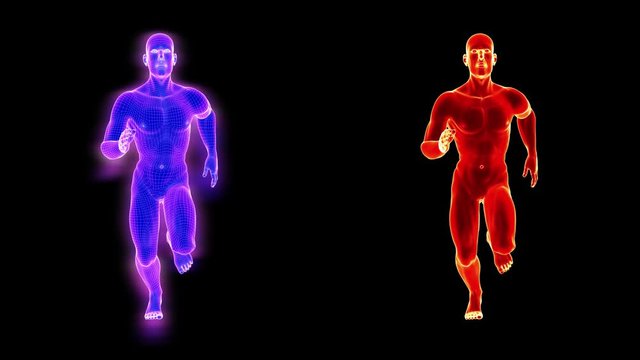 Slow motion (half-speed) stylized running male, with in-file luma matte. Two styles/wireframe mesh densities. Seamless loop.