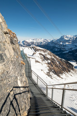 Naklejka premium The Thrill Walk at Birg in the Swiss Alps. The steel structure hugs the cliff side and there is a vertical drop beneath. The views of the mountains are stunning. Not for the faint hearted.