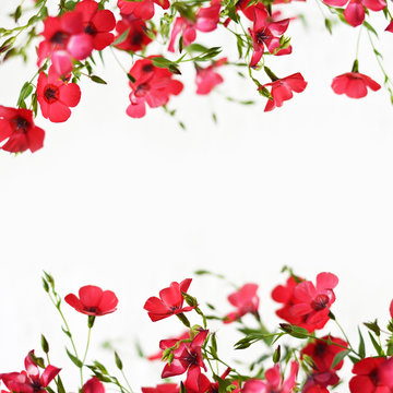 Mothers Day floral background with copy space