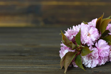 Close up of cherry blossom on wooden background