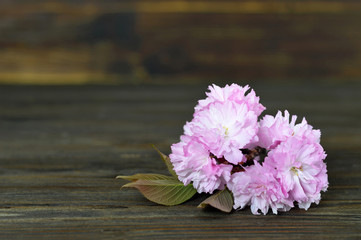 Cherry blossom on wooden background with copy space