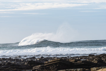 wild sea