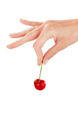 woman's hand offers a ripe juicy cherry